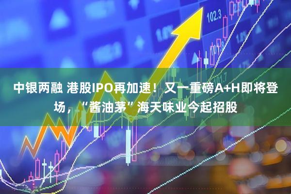 中银两融 港股IPO再加速！又一重磅A+H即将登场，“酱油茅”海天味业今起招股