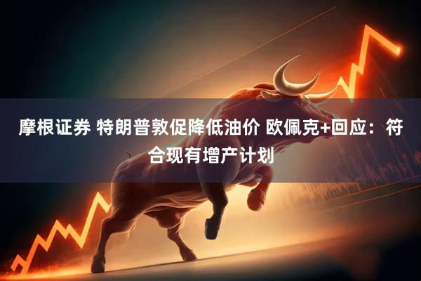 摩根证券 特朗普敦促降低油价 欧佩克+回应：符合现有增产计划