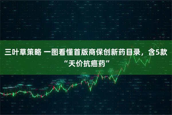 三叶草策略 一图看懂首版商保创新药目录，含5款“天价抗癌药”