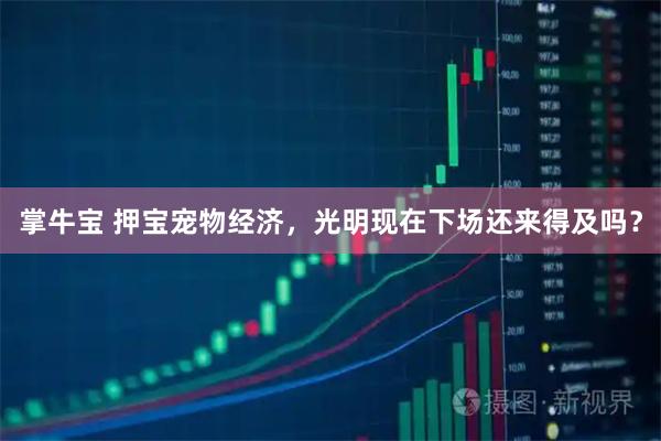 掌牛宝 押宝宠物经济，光明现在下场还来得及吗？